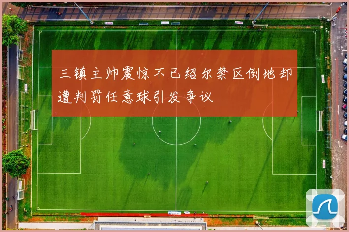 三镇主帅震惊不已绍尔禁区倒地却遭判罚任意球引发争议